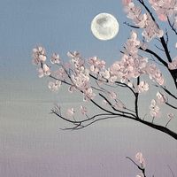 shirono_so