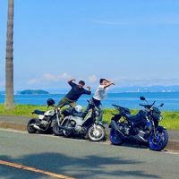 hasesan_trip