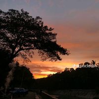 original sound - 09564321