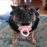 original sound - mike_the7374