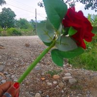 kanchitharuni2