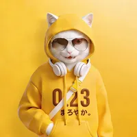original sound - 23miniroom