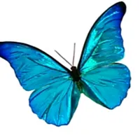 original sound - thamizhian