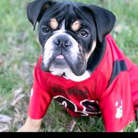 historias_con_payton06