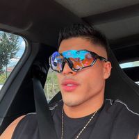 romanaldair_