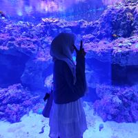 suara asli - OHCILOEE