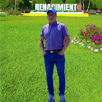 redesngabe355