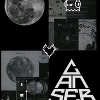 royer_qsp