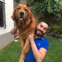 aldopetshop1