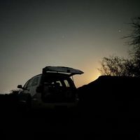 الصوت الأصلي