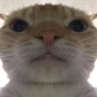 original sound - miawtok3