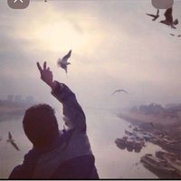 the.qruz2