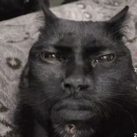 оригинальный звук
