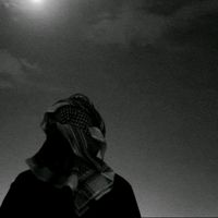ولا تحسبن الذين قتلوا