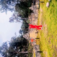 www.lanegranel