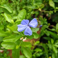 original sound - rubyanab