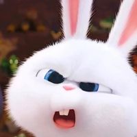 sign 伊藤美来 内田彩