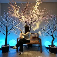 original sound - sense_0802