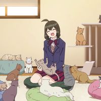 rinitoshiplsmarryme