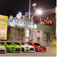 girls_sv_cars
