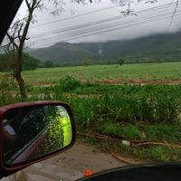 mejiacha14