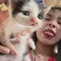 sxwitree0