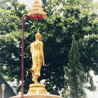 เสียงต้นฉบับ - 555