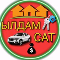 yldamsat