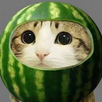 cuteemeowl