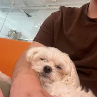 오리지널 사운드 - 몰래쓰는일기