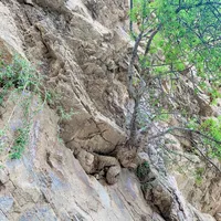 original sound - balochistan00000000