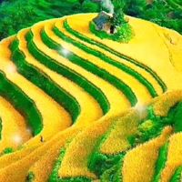 nguyenm76
