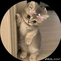 anjilaaaa098