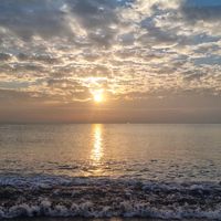 natur_311