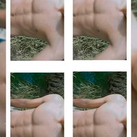 calistenico91