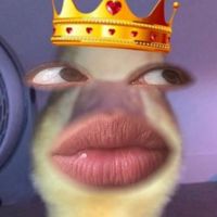 larositabella.29