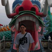 luigirip1