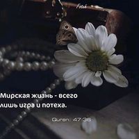 hojieva_7700