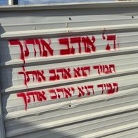 user_ziv