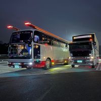 5151ryu92