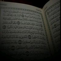 asgerov_murad