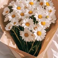nefesimsen4.6.2