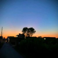naturevibe16