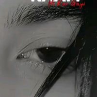 alpogolpo0