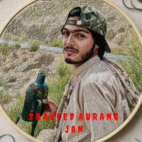 shahzaib16786