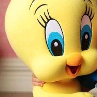 shoaibshoaib3785