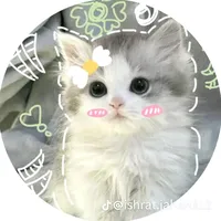 original sound - fairy_s_99