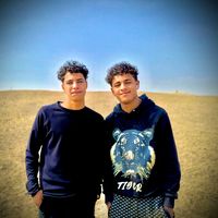 الصوت الأصلي