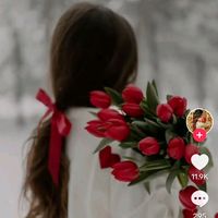 user262041914