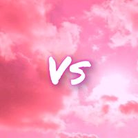 vsvs384
